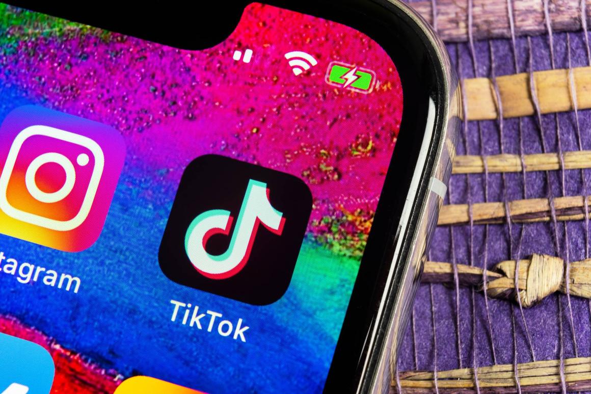 Is TikTok a viral application or a killer of YouTube and Instagram?