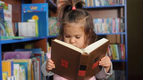 To The International Day for Protection of Children: how to love learning since childhood