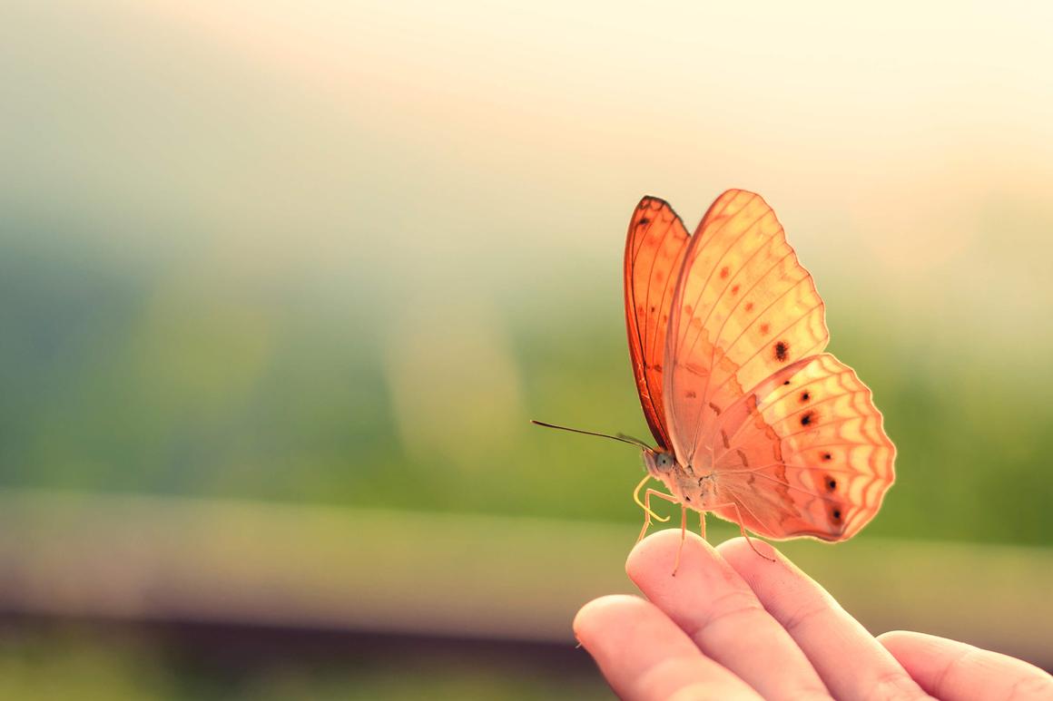 Three courses from Lectera to make a difference this summer