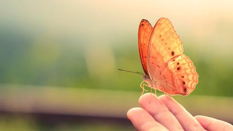 Three courses from Lectera to make a difference this summer