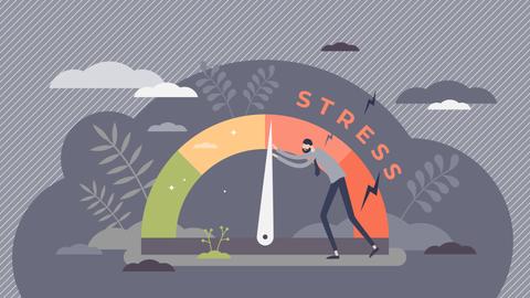 Test. Stress levels in your life: Is it time to raise alarm?