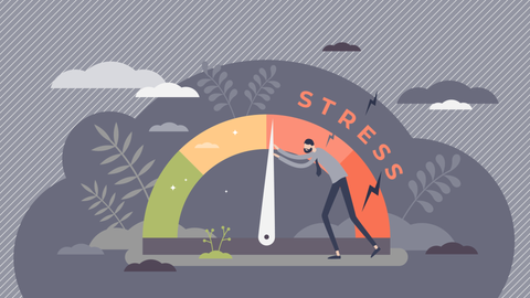 Are you stressed?  Take the Lectera test and estimate your current level of stress!