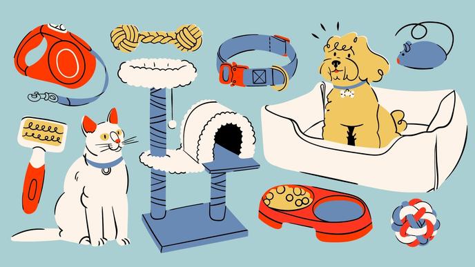 shutterstock-2502203973