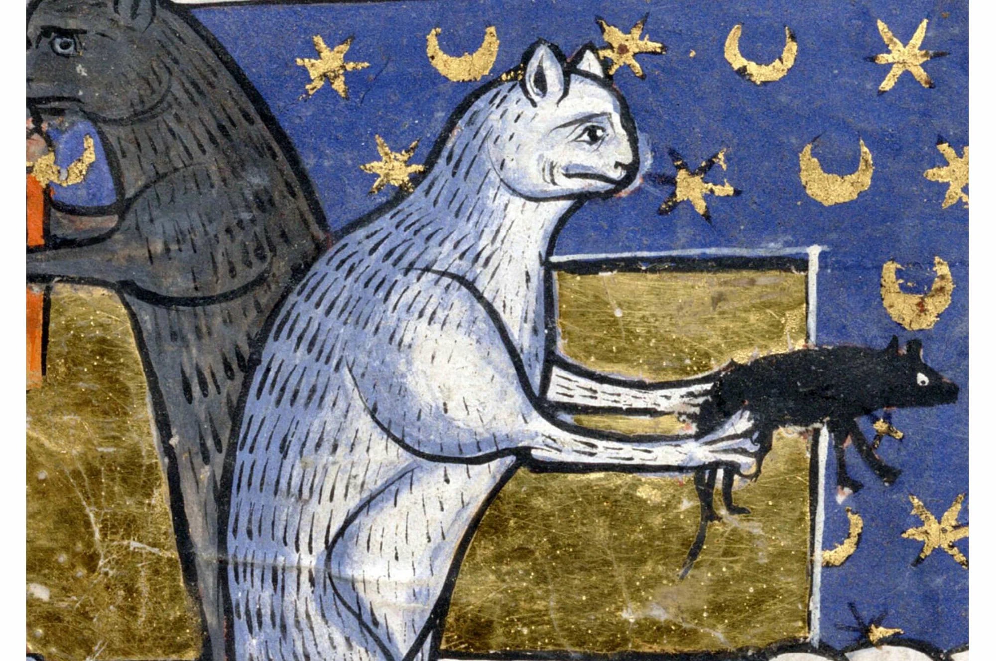 Test. Welche Art von mittelalterlicher Katze bist du?