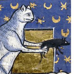 Test. What Kind of Medieval Cat Are You?
