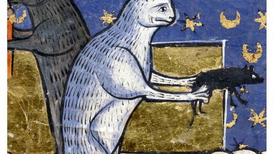 Тест. Какой вы средневековый кот?